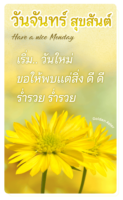 ลายที่ 4