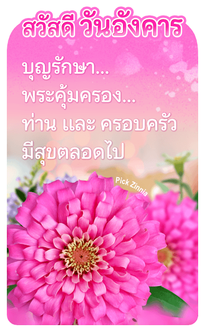 ลายที่ 5