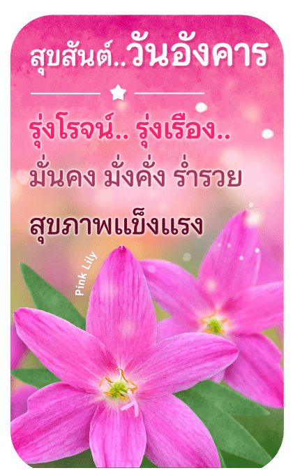 ลายที่ 6