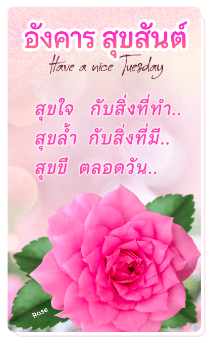 ลายที่ 8