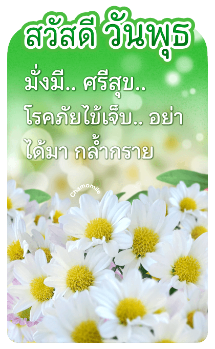 ลายที่ 9