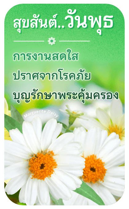 ลายที่ 10