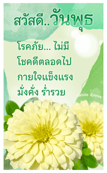 ลายที่ 11