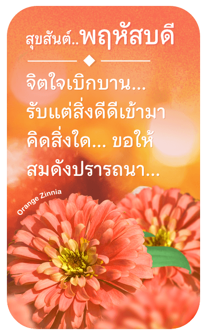 ลายที่ 14