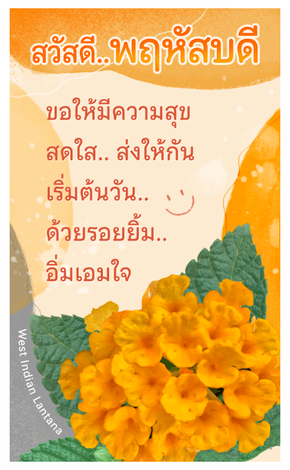 ลายที่ 15