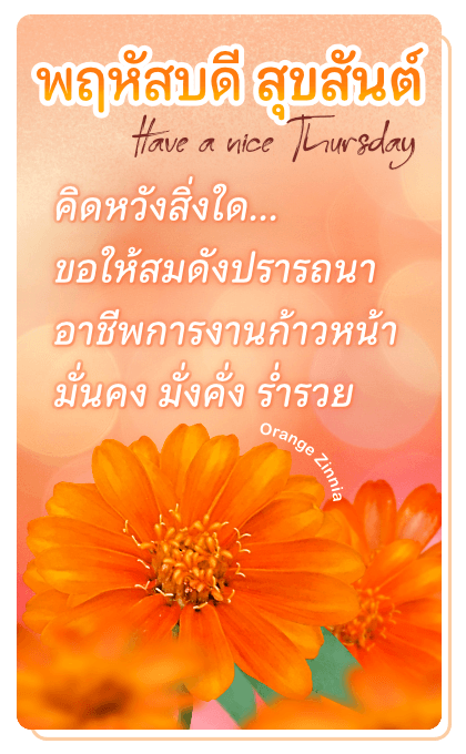 ลายที่ 16