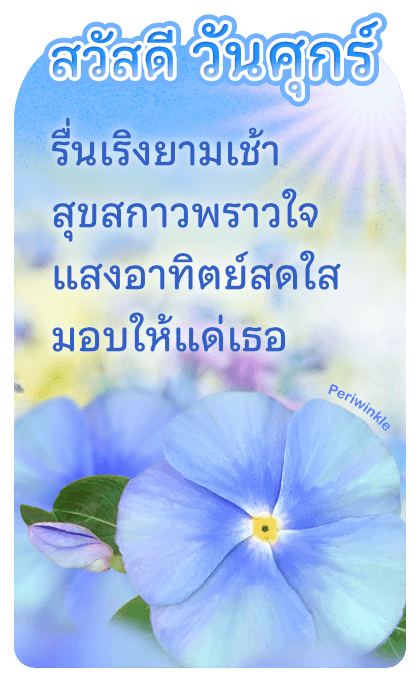 ลายที่ 17