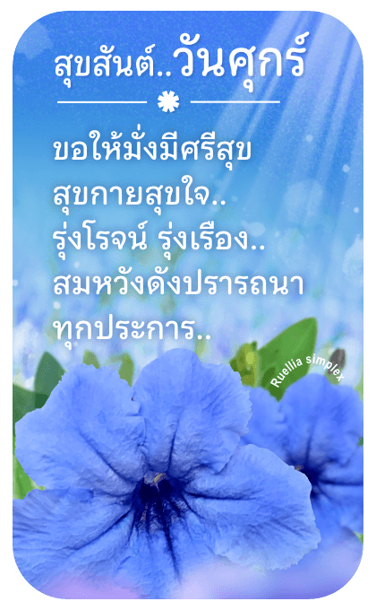 ลายที่ 18