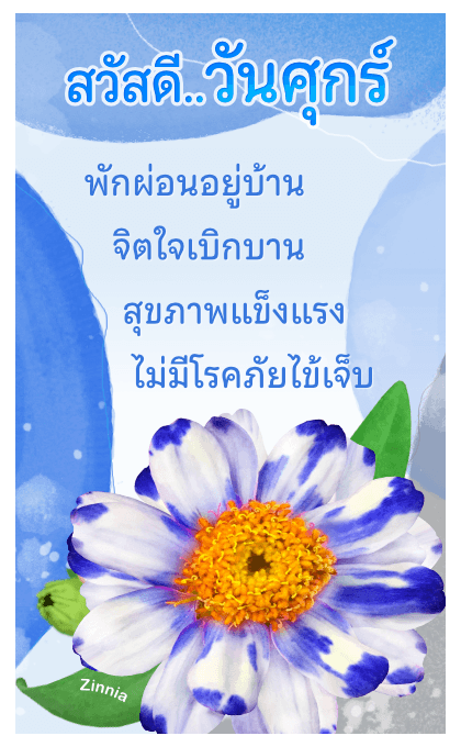 ลายที่ 19