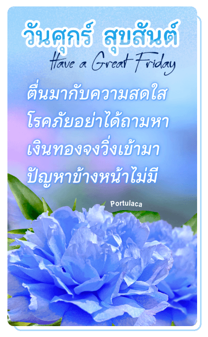 ลายที่ 20