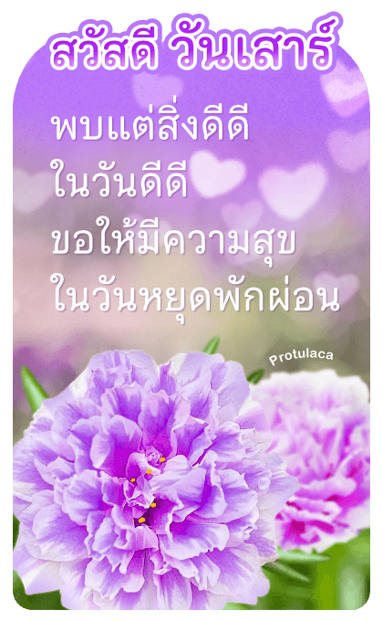 ลายที่ 21