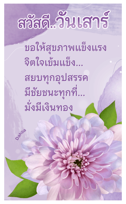 ลายที่ 23