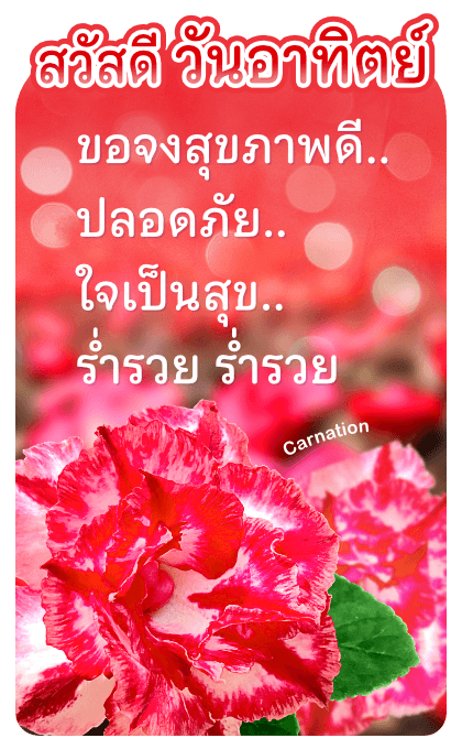 ลายที่ 25