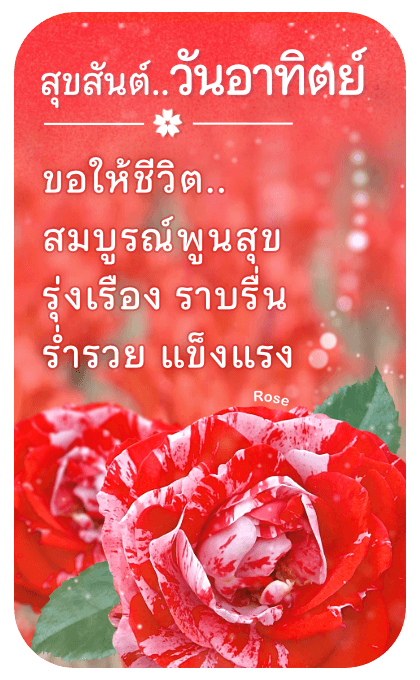 ลายที่ 26