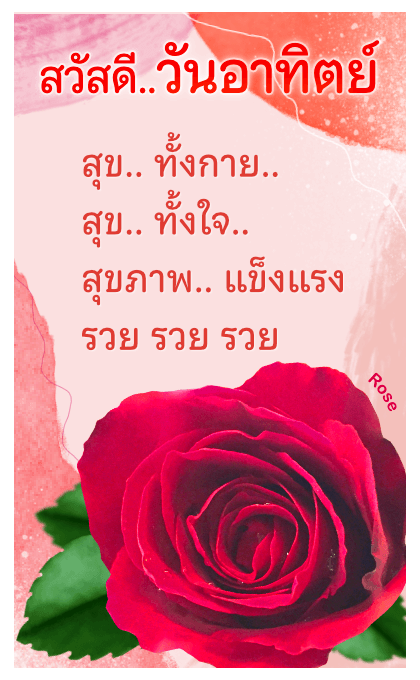 ลายที่ 27