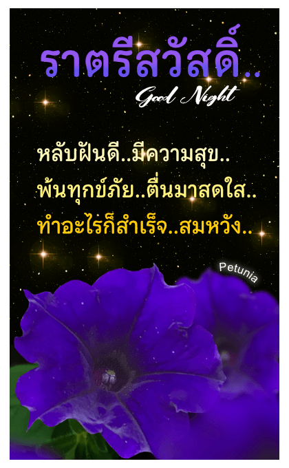 ลายที่ 30