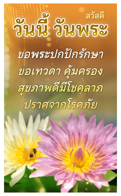 ลายที่ 33