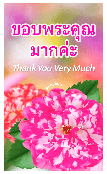 ลายที่ 40