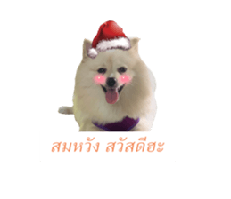 425914342