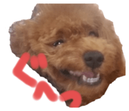 426005670