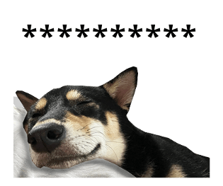 426006551