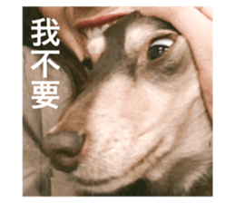 426075606