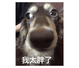 426075615