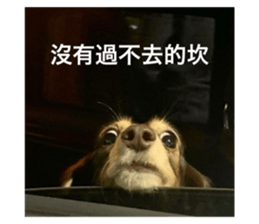 426075627