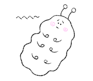 426117026