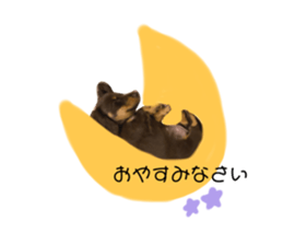 426221654
