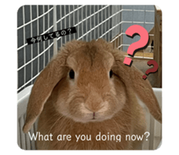 426229659