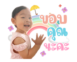 426254570