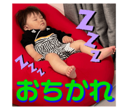 426263198