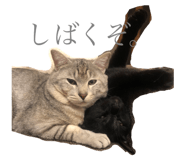 426264080