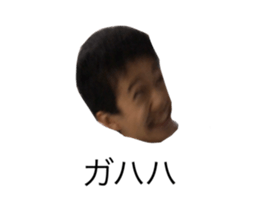 426265043