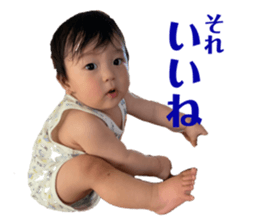 426266320