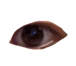 426272254