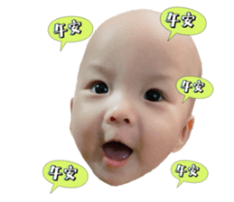 426281619