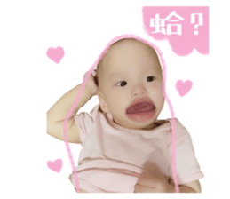 426281626