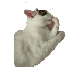 426284279