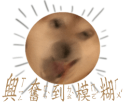 426289977