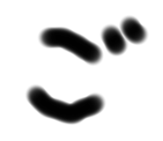426352293