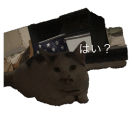 426459112