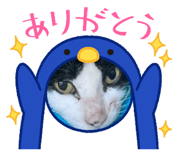 426506580