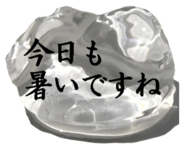 426511081