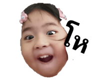 426526011