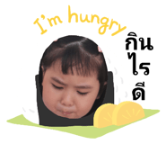 426526013