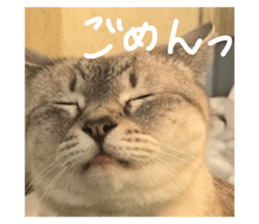426542268