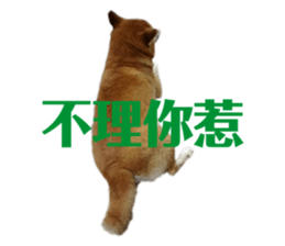 426552841