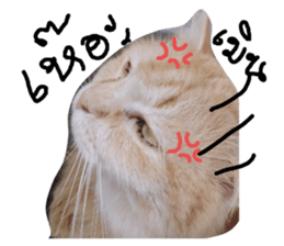 426553453